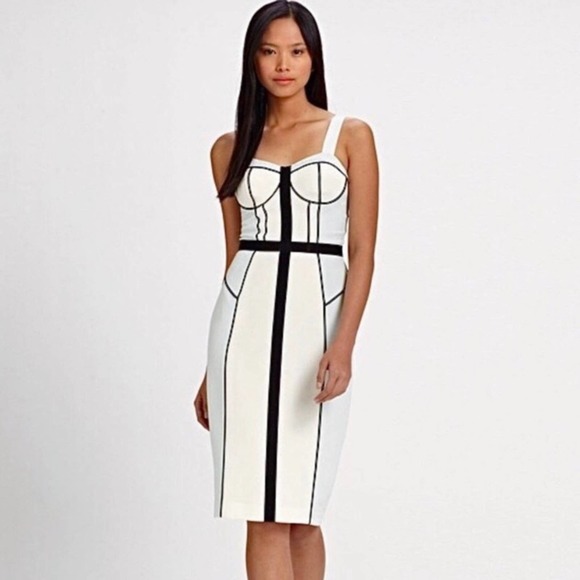 Rebecca Minkoff 100% Silk Bodycon Bustier Dress Size 0 - Picture 3 of 12